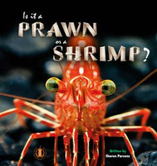 Is it a Prawn or a Shrimp? (Level 15) 20% discount