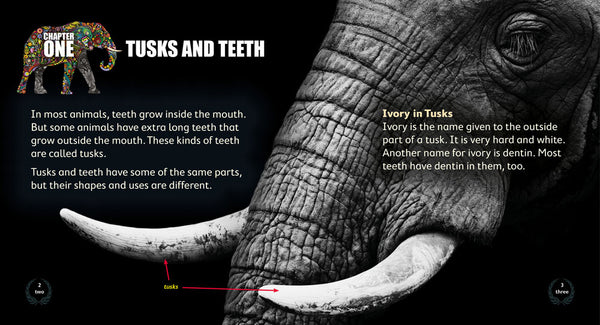 Tusks and Teeth (Level 17)  20% discount)