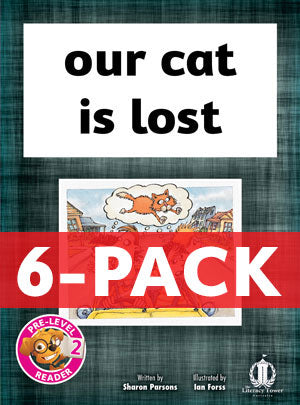our cat is lost 6-pack (Pre-level 2) 30% Discount