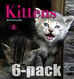 Kittens 6-pack (Level 2) 30% Discount