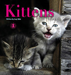 Kittens (Level 2) 30% Discount