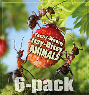 Teeny-Weeny Itsy-Bitsy Animals 6-pack (Level 23) 10% Discount