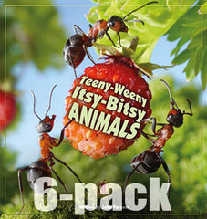 Teeny-Weeny Itsy-Bitsy Animals 6-pack (Level 23) 10% Discount
