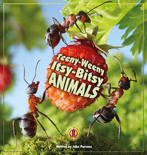 Teeny-Weeny Itsy-Bitsy Animals (Level 23) 10% discount