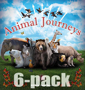 Animal Journeys 6-pack (Level 28) 10% Discount