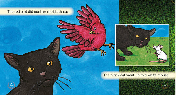The Black Cat 6-pack (Level 3) 30% discount