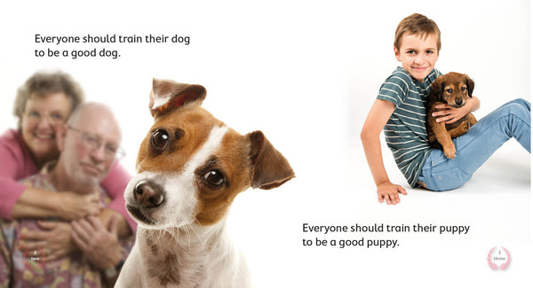 Train Your Dog (Level 4) 30% Discount