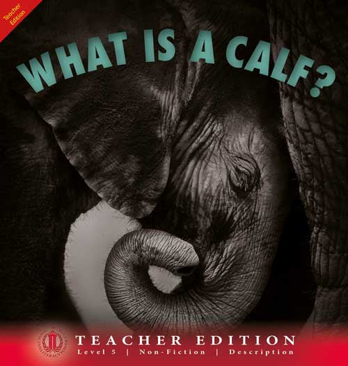 What is a Calf? (Teacher Edition - Level 5)
