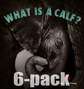 What is a Calf? 6-pack (Level 5) 30% Discount