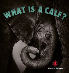 What is a Calf? (Level 5) 30% Discount