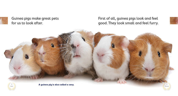 Guinea Pigs Make Great Pets 6-pack (Level 6) 30% Discount